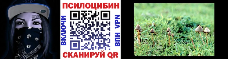 Галлюциногенные грибы Cubensis  Нижний Ломов 